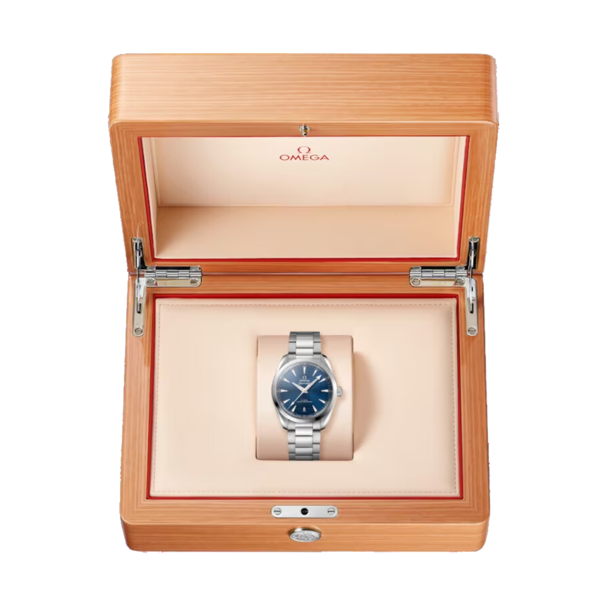 OMEGA SEAMASTER AQUA WATCH TERRA 220.10.38.20.03.001 38 mm