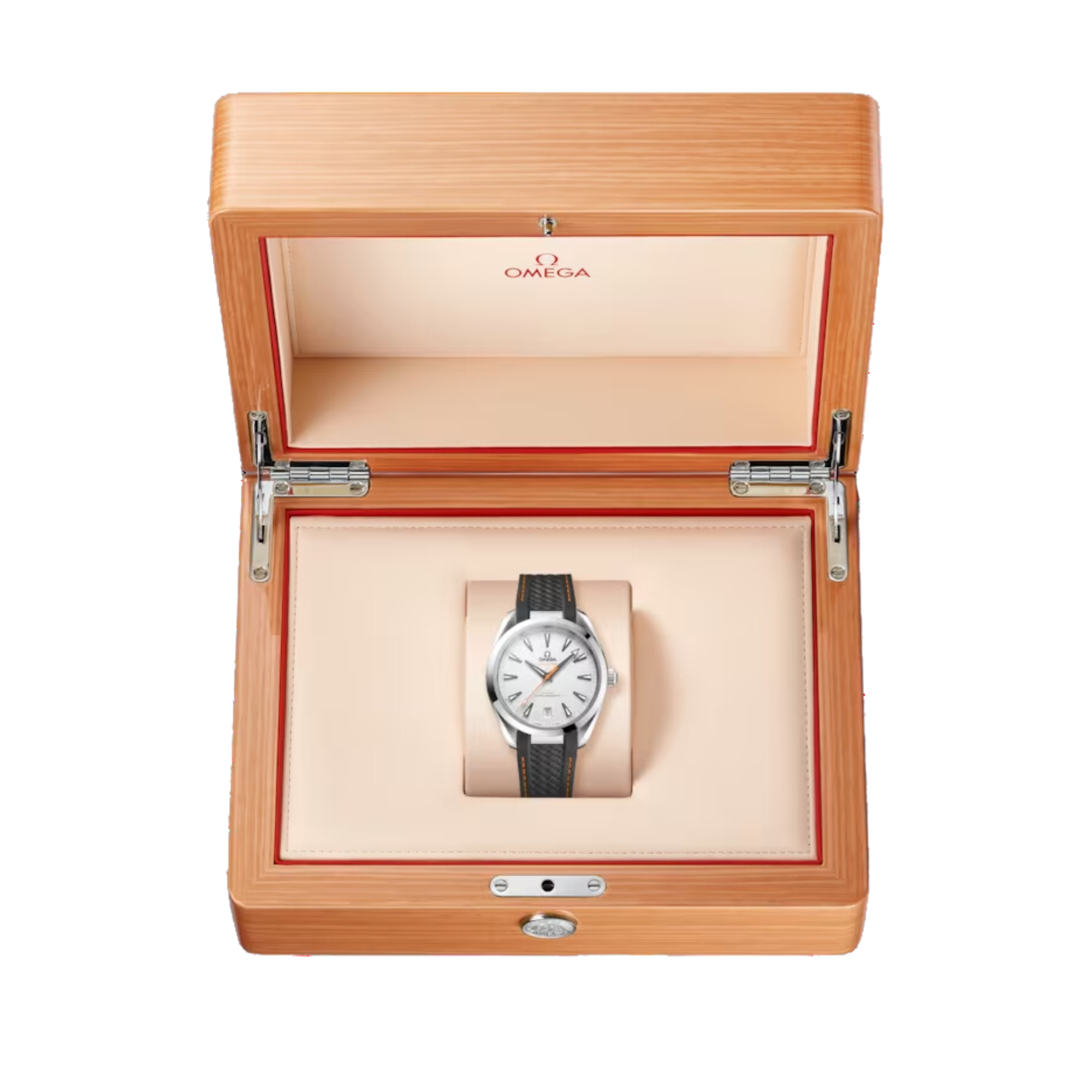 OMEGA SEAMASTER AQUA TERR 220.12.41.21.02.002 41 mm